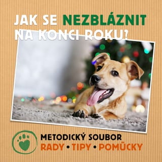 METODICKÝ SOUBOR
RADY•TIPY•POMŮCKY
JAK SE NEZBLÁZNIT
NA KONCI ROKU?
 