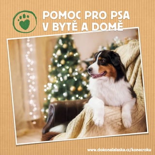 POMOC PRO PSA
V BYTĚ A DOMĚ
www.dokonalalaska.cz/konecroku
 