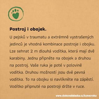 Postroj i obojek.
U pejsků vtraumatu a extrémně vystrašených
jedinců je vhodná kombinace postroje i obojku.
Lze sehnat 2 m dlouhá vodítka, která mají dvě
karabiny. Jednu připněte na obojek a druhou
na postroj. Vaše ruka je poté vpolovině
vodítka. Druhou možností jsou dvě pevná
vodítka. To na obojku si navlíkněte na zápěstí.
Vodítko připnuté na postroji držte vruce.
www.dokonalalaska.cz/konecroku
 