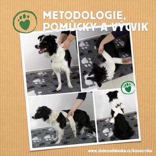 METODOLOGIE,
POMŮCKY A VÝCVIK
www.dokonalalaska.cz/konecroku
 