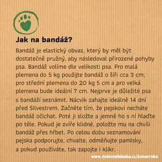 Jak na bandáž?
Bandáž je elastický obvaz, který by měl být
dostatečně pružný, aby následoval přirozené pohyby
psa. Bandáž volíme dle velikosti psa. Promalá
plemenado 5 kg použijte bandáž ošíři cca 3 cm,
prostřední plemenado 20 kg5 cma provelká
plemenabude ideální7 cm. Nejprve je důležité psa
s bandáží seznámit. Nácvik zahajte ideálně 14 dní
před Silvestrem. Začněte tím, že pejskovi necháte
bandáž očichat. Poté ji složte a jemně ho s ní hlaďte
po těle. Pokud je zvíře klidné, položte mu na chvíli
bandáž přes hřbet. Po celou dobu seznamování
pejska podporujte, chvalte, odměňujte pamlsky,
a pokud používáte, tak zapojte i klikr.
www.dokonalalaska.cz/konecroku
 