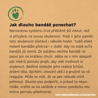 Jak dlouho bandáž ponechat?
Nervovému systému trvá přibližně 20 minut, než
si přivykne na novou zkušenost. Poté v jeho paměti
tato zkušenost zůstává i několik hodin. Tudíž efekt
nošení bandáže přetrvá i v době, kdy na sobě zvíře
bandáž již nemá. Ze začátku nechte bandáž na
psovi jen na krátkou chvíli. Jděte se s ním alespoň
pár metrů pomalu projít, aby měl možnost si
zvyknout. Bedlivě sledujte jeho reakce (chůzi,
držení těla, dýchání, chování atd.) a pružně na ně
reagujte. Může se stát, že se pes nebude chtít
pohnout. Zkuste psa podpořit, a pokud to nepo-
může, vraťte se na začátek a novou pomůcku mu
znovu pomalu představte.
www.dokonalalaska.cz/konecroku
 