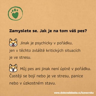 Zamyslete se. Jak je na tom váš pes?
Jinak je psychicky v pořádku,
jen v těchto zvláště kritických situacích  
je ve stresu.
Můj pes ani jinak není úplně v pořádku.
Častěji se bojí nebo je ve stresu, panice
nebo v úzkostném stavu.
www.dokonalalaska.cz/konecroku
 