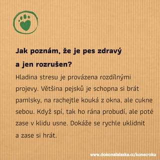 Jak poznám, že je pes zdravý
a jen rozrušen?
Hladina stresu je provázena rozdílnými
projevy. Většina pejsků je schopna si brát
pamlsky, na rachejtle kouká zokna, ale cukne
sebou. Když spí, tak ho rána probudí, ale poté
zase vklidu usne. Dokáže se rychle uklidnit
a zase si hrát.
www.dokonalalaska.cz/konecroku
 