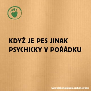 KDYŽ JE PES JINAK
PSYCHICKY V POŘÁDKU
www.dokonalalaska.cz/konecroku
 