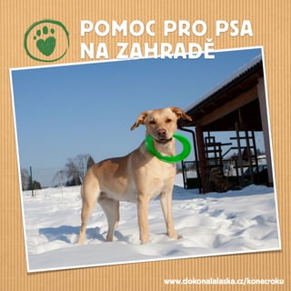 POMOC PRO PSA
NA ZAHRADĚ
www.dokonalalaska.cz/konecroku
 