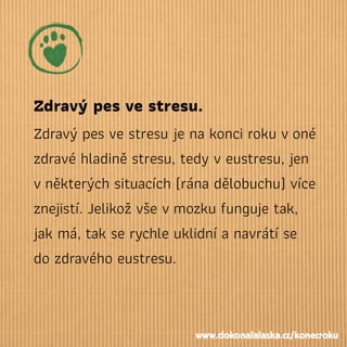 Zdravý pes ve stresu.
Zdravý pes ve stresu je na konci roku voné
zdravé hladině stresu, tedy v eustresu, jen
vněkterých situacích (rána dělobuchu) více
znejistí. Jelikož vše vmozku funguje tak,
jak má, tak se rychle uklidní a navrátí se
do zdravého eustresu.
www.dokonalalaska.cz/konecroku
 