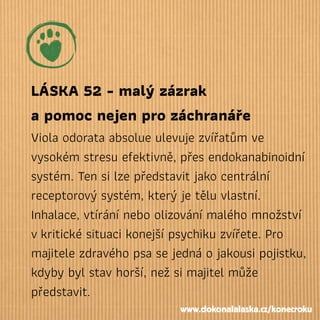 LÁSKA 52 - malý zázrak
a pomoc nejen pro záchranáře
Viola odorata absolue ulevuje zvířatům ve
vysokém stresu efektivně, přes endokanabinoidní
systém. Ten si lze představit jako centrální
receptorový systém, který je tělu vlastní.
Inhalace, vtírání nebo olizování malého množství
vkritické situaci konejší psychiku zvířete. Pro
majitele zdravého psa se jedná o jakousi pojistku,
kdyby byl stav horší, než si majitel může
představit.
www.dokonalalaska.cz/konecroku
 
