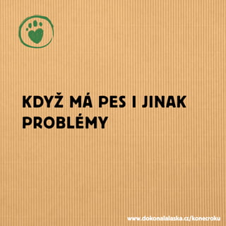 KDYŽ MÁ PES I JINAK
PROBLÉMY
www.dokonalalaska.cz/konecroku
 