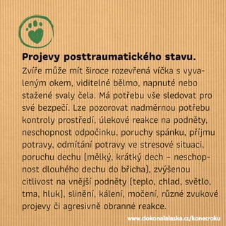 Projevy posttraumatického stavu.
Zvíře může mít široce rozevřená víčka s vyva-
leným okem, viditelné bělmo, napnuté nebo
stažené svaly čela. Má potřebu vše sledovat pro
své bezpečí. Lze pozorovat nadměrnou potřebu
kontroly prostředí, úlekové reakce na podněty,
neschopnost odpočinku, poruchy spánku, příjmu
potravy, odmítání potravy ve stresové situaci,
poruchu dechu (mělký, krátký dech – neschop-
nost dlouhého dechu do břicha), zvýšenou
citlivost na vnější podněty (teplo, chlad, světlo,
tma, hluk), slinění, kálení, močení, různé zvukové
projevy či agresivně obranné reakce.
www.dokonalalaska.cz/konecroku
 