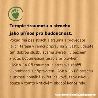 Terapie traumatu a strachu
jako přínos pro budoucnost.
Pokud má pes strach a trauma a provedete
jejich terapii vrámci příprav na Silvestr, uděláte
tím dobrou službu svému zvířeti i vběžném
životě. Dvouměsíční terapie přípravkem
LÁSKA 54 Při traumatu a stresové zátěži
vkombinaci spřípravkem LÁSKA 56 Při strachu
a úzkosti pomáhá zvířeti celkově, tedy nikoliv
pouze vtomto kritickém období konce roku.
www.dokonalalaska.cz/konecroku
 