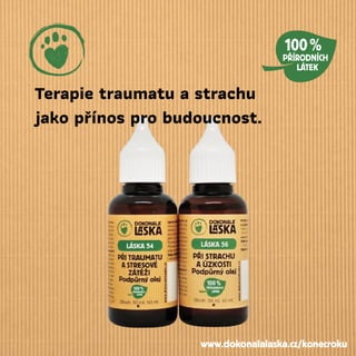 Terapie traumatu a strachu
jako přínos pro budoucnost.
www.dokonalalaska.cz/konecroku
 