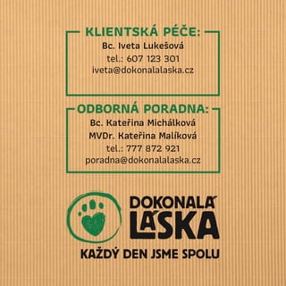 Pes a konec roku - poradce