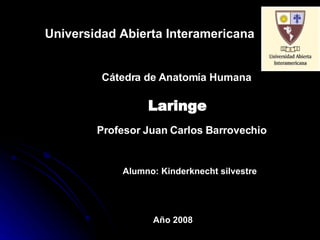 Universidad Abierta Interamericana


         Cátedra de Anatomía Humana

                 Laringe
        Profesor Juan Carlos Barrovechio


            Alumno: Kinderknecht silvestre




                  Año 2008