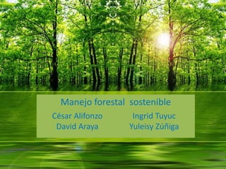 Manejo forestal sostenible
César Alifonzo
David Araya
Ingrid Tuyuc
Yuleisy Zúñiga
 