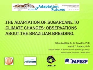 THE ADAPTATION OF SUGARCANE TO
CLIMATE CHANGES: OBSERVATIONS
ABOUT THE BRAZILIAN BREEDING.
Silvia Angélica D. de Carvalho, PhD
André T. Furtado, PhD
Departament of Science and Technology Policy
Geoscience Institute – UNICAMP
 