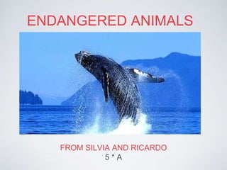 ENDANGERED ANIMALS
FROM SILVIA AND RICARDO
5 * A
 