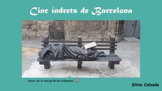 Cinc índrets de Barcelona
Autor de la imatge:Brian Adamson
Silvia Calzada
 