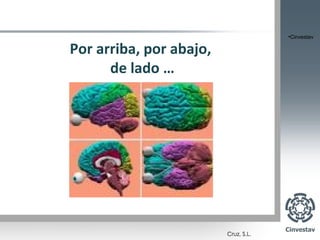 •Cinvestav

Por arriba, por abajo,
      de lado …
 