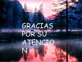 GRACIAS
POR SU
ATENCIO
N
 