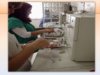 Silvia Cassiani
EERP/USP
 