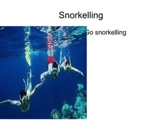 Snorkelling ,[object Object]