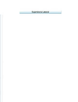 Experiencia Laboral