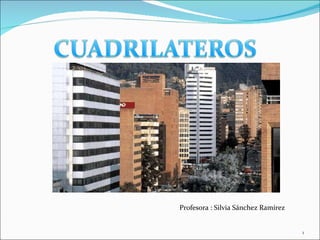 <ul><li>Profesora : Silvia Sánchez Ramírez </li></ul>