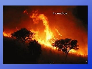 Incendios
 