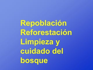 Repoblación
Reforestación
Limpieza y
cuidado del
bosque
 