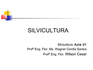 SILVICULTURA 
Silvicultura: Aula 01 
Profº Eng. Flor. Ms. Wagner Corrêa Santos 
Profº Eng. Flor. Wilson Cesar 
 