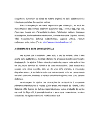100
serapilheira, aumentam os teores de matéria orgânica no solo, possibilitando a
introdução gradativa de espécies nativas.
Para a recuperação de áreas degradadas por mineração, as espécies
mais utilizadas são: Mimosa scabrella, Eucalyptus spp, Tabebuia spp, Inga spp,
Pinus spp, Acacia spp, Parapiptadenia rigida, Peltphorium dubium, Leucaena
leucocephala, Balfourodendron riedelianum, Luehea divaricata, Cupania vernalis,
Vitex megapotamica, Schinus terebinthifolius, Eugenia uniflora, Psidium
catleianum, entre outras (Fonte: http://www.ambientebrasil.com.br).
A MINERAÇÃO E SUAS CONSEQÜÊNCIAS
De acordo com Kopezinski (2000) todo o ato de minerar, tanto a céu
aberto como subterrâneo, modifica o terreno no processo da extração mineral e
de deposição de rejeitos. O bem mineral extraído não retorna mais ao local, fica
em circulação, servindo ao homem e às suas necessidades. Esse aspecto traz
consigo uma dúbia questão, pois se, de uma certa maneira, a mineração
degrada o terreno, é verdade também que este ambiente pode ser reestruturado
de forma aceitável, limitando o impacto ambiental negativo a um curto período
de tempo.
A estocagem de rejeitos das minerações de carvão ainda é um grande
problema ambiental para a Região Sul do Brasil. Os estados do Paraná, Santa
Catarina e Rio Grande do Sul são responsáveis por toda a produção de carvão
nacional. Na Figura 20 é possível visualizar o aspecto de uma mina de carvão a
céu aberto, na região de Butiá no Rio Grande do Sul.
 