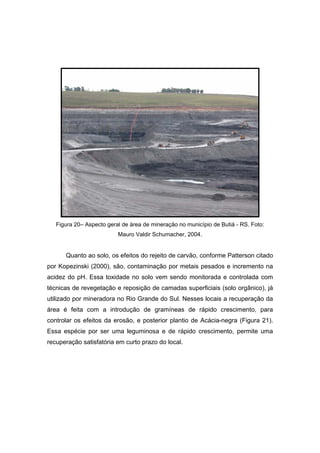 101
Figura 20– Aspecto geral de área de mineração no município de Butiá - RS. Foto:
Mauro Valdir Schumacher, 2004.
Quanto ao solo, os efeitos do rejeito de carvão, conforme Patterson citado
por Kopezinski (2000), são, contaminação por metais pesados e incremento na
acidez do pH. Essa toxidade no solo vem sendo monitorada e controlada com
técnicas de revegetação e reposição de camadas superficiais (solo orgânico), já
utilizado por mineradora no Rio Grande do Sul. Nesses locais a recuperação da
área é feita com a introdução de gramíneas de rápido crescimento, para
controlar os efeitos da erosão, e posterior plantio de Acácia-negra (Figura 21).
Essa espécie por ser uma leguminosa e de rápido crescimento, permite uma
recuperação satisfatória em curto prazo do local.
 
