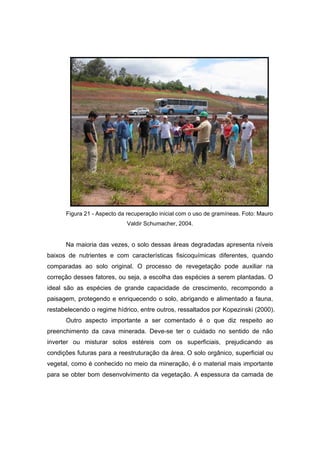 102
Figura 21 - Aspecto da recuperação inicial com o uso de gramíneas. Foto: Mauro
Valdir Schumacher, 2004.
Na maioria das vezes, o solo dessas áreas degradadas apresenta níveis
baixos de nutrientes e com características fisicoquímicas diferentes, quando
comparadas ao solo original. O processo de revegetação pode auxiliar na
correção desses fatores, ou seja, a escolha das espécies a serem plantadas. O
ideal são as espécies de grande capacidade de crescimento, recompondo a
paisagem, protegendo e enriquecendo o solo, abrigando e alimentado a fauna,
restabelecendo o regime hídrico, entre outros, ressaltados por Kopezinski (2000).
Outro aspecto importante a ser comentado é o que diz respeito ao
preenchimento da cava minerada. Deve-se ter o cuidado no sentido de não
inverter ou misturar solos estéreis com os superficiais, prejudicando as
condições futuras para a reestruturação da área. O solo orgânico, superficial ou
vegetal, como é conhecido no meio da mineração, é o material mais importante
para se obter bom desenvolvimento da vegetação. A espessura da camada de
 