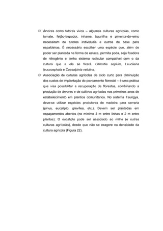 107
¾ Árvores como tutores vivos – algumas culturas agrícolas, como
tomate, feijão-trepador, inhame, baunilha e pimenta-do-reino
necessitam de tutores individuais e outros de base para
espaldeiras. É necessário escolher uma espécie que, além de
poder ser plantada na forma de estaca, permita poda, seja fixadora
de nitrogênio e tenha sistema radicular compatível com o da
cultura que a ela se fixará. Gliricidia sepium, Leucaena
leucocephala e Caesalpinia velutina.
¾ Associação de culturas agrícolas de ciclo curto para diminuição
dos custos de implantação do povoamento florestal – é uma prática
que visa possibilitar a recuperação de florestas, combinando a
produção de árvores e de cultivos agrícolas nos primeiros anos de
estabelecimento em plantios comunitários. No sistema Taungya,
deve-se utilizar espécies produtoras de madeira para serraria
(pinus, eucalipto, grevílea, etc.). Devem ser plantadas em
espaçamentos abertos (no mínimo 3 m entre linhas e 2 m entre
plantas). O eucalipto pode ser associado ao milho (e outras
culturas agrícolas), desde que não se exagere na densidade da
cultura agrícola (Figura 22).
 