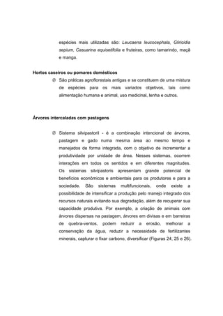 113
espécies mais utilizadas são: Leucaena leucocephala, Gliricidia
sepium, Casuarina equisetifolia e fruteiras, como tamarindo, maçã
e manga.
Hortos caseiros ou pomares domésticos
¾ São práticas agroflorestais antigas e se constituem de uma mistura
de espécies para os mais variados objetivos, tais como
alimentação humana e animal, uso medicinal, lenha e outros.
Árvores intercaladas com pastagens
¾ Sistema silvipastoril - é a combinação intencional de árvores,
pastagem e gado numa mesma área ao mesmo tempo e
manejados de forma integrada, com o objetivo de incrementar a
produtividade por unidade de área. Nesses sistemas, ocorrem
interações em todos os sentidos e em diferentes magnitudes.
Os sistemas silvipastoris apresentam grande potencial de
benefícios econômicos e ambientais para os produtores e para a
sociedade. São sistemas multifuncionais, onde existe a
possibilidade de intensificar a produção pelo manejo integrado dos
recursos naturais evitando sua degradação, além de recuperar sua
capacidade produtiva. Por exemplo, a criação de animais com
árvores dispersas na pastagem, árvores em divisas e em barreiras
de quebra-ventos, podem reduzir a erosão, melhorar a
conservação da água, reduzir a necessidade de fertilizantes
minerais, capturar e fixar carbono, diversificar (Figuras 24, 25 e 26).
 
