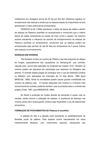 13
indolbutírico em dosagens acima de 20 mg por litro tem influência negativa no
enraizamento das estacas e ainda que as estacas basais do crescimento do ano
apresentam o maior potencial de enraizamento.
TEDESCO et all, (1998) estudaram o efeito da época de coleta e plantio
de estacas de Platanus acerifolia no enraizamento e concluíram que a melhor
época de coleta compreende os meses de maio, junho e agosto. Os mesmos
autores estudando a influencia do período de armazenamento de estacas de
Platanus acerifolia no enraizamento, concluíram que as estacas podem ser
armazenadas pelo período de até 60 dias em temperatura de 5 graus Celcius
sem prejuízo no enraizamento.
DOENÇAS EM VIVEIROS
Nos Estados Unidos os viveiros de Platanus spp são propenso ao ataque
de fungos, especialmente dos causadores do Damping-off, cujo controle,
naquele país, ocorre pela aplicação do fungicida tipo Captan 72-S. Também os
viveiros podem ser atacados por percevejos que destroem as folhagens das
plantas. O controle destas pragas se consegue com o uso de inseticida Lindane
ou Malation com aplicações em intervalos de 10 dias (Morrs, 1964 Apud
BRISCOE, 1969). Ainda os nematóides podem causar grande mortalidade aos
viveiros de platanus spp. O manejo adequado dos viveiros é a maneira mais
convencional de controle, podendo também usar os produtos para o controle das
pragas (Toole, 1967, apud BRIOSCOE 1969).
No Brasil a produção de mudas através de sementes é quase nula ou
inexiste, sendo comum a utilização de estacas. A ocorrência de doenças nos
viveiros ainda não é preocupante, embora seja importante o uso de tratamentos
preventivos.
FORMAÇÃO DE POVOAMENTOS DE Platanus X acerifolia
A seleção do sítio é a decisão mais importante no estabelecimento de
florestas puras de plátano. Esta espécie ocorre naturalmente em solos
medianamente alcalinos, com crescimento vigoroso, alcançando seu
 
