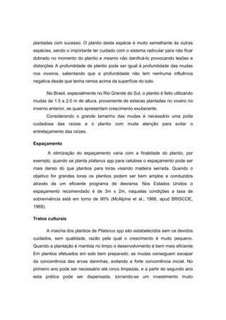16
plantadas com sucesso. O plantio desta espécie é muito semelhante às outras
espécies, sendo o importante ter cuidado com o sistema radicular para não ficar
dobrado no momento do plantio e mesmo não danificá-lo provocando lesões e
distorções A profundidade de plantio pode ser igual à profundidade das mudas
nos viveiros, salientando que a profundidade não tem nenhuma influência
negativa desde que tenha ramos acima da superfície do solo.
No Brasil, especialmente no Rio Grande do Sul, o plantio é feito utilizando
mudas de 1.5 a 2.0 m de altura, proveniente de estacas plantadas no viveiro no
inverno anterior, as quais apresentam crescimento exuberante.
Considerando o grande tamanho das mudas é necessário uma poda
cuidadosa das raízes e o plantio com muita atenção para evitar o
entrelaçamento das raízes.
Espaçamento
A otimização do espaçamento varia com a finalidade do plantio, por
exemplo, quando se planta platanus spp para celulose o espaçamento pode ser
mais denso do que plantios para toras visando madeira serrada. Quando o
objetivo for grandes toras os plantios podem ser bem amplos e conduzidos
através de um eficiente programa de desrama. Nos Estados Unidos o
espaçamento recomendado é de 3m x 2m, naquelas condições a taxa de
sobrevivência está em torno de 90% (McAlpine et al., 1966, apud BRISCOE,
1969).
Tratos culturais
A maioria dos plantios de Platanus spp são estabelecidos sem os devidos
cuidados, sem qualidade, razão pela qual o crescimento é muito pequeno.
Quando a plantação é mantida no limpo o desenvolvimento é bem mais eficiente.
Em plantios efetuados em solo bem preparado, as mudas conseguem escapar
da concorrência das ervas daninhas, evitando a forte concorrência inicial. No
primeiro ano pode ser necessário até cinco limpezas, e a partir do segundo ano
esta prática pode ser dispensada, tornando-se um investimento muito
 