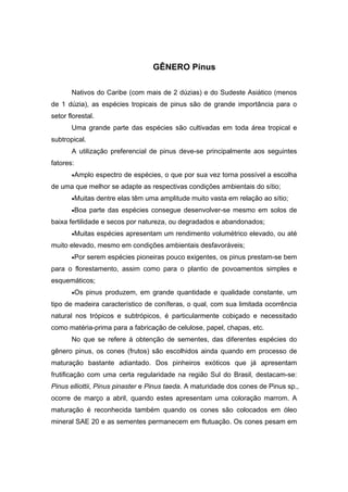 19
GÊNERO Pinus
Nativos do Caribe (com mais de 2 dúzias) e do Sudeste Asiático (menos
de 1 dúzia), as espécies tropicais de pinus são de grande importância para o
setor florestal.
Uma grande parte das espécies são cultivadas em toda área tropical e
subtropical.
A utilização preferencial de pinus deve-se principalmente aos seguintes
fatores:
•Amplo espectro de espécies, o que por sua vez torna possível a escolha
de uma que melhor se adapte as respectivas condições ambientais do sítio;
•Muitas dentre elas têm uma amplitude muito vasta em relação ao sítio;
•Boa parte das espécies consegue desenvolver-se mesmo em solos de
baixa fertilidade e secos por natureza, ou degradados e abandonados;
•Muitas espécies apresentam um rendimento volumétrico elevado, ou até
muito elevado, mesmo em condições ambientais desfavoráveis;
•Por serem espécies pioneiras pouco exigentes, os pinus prestam-se bem
para o florestamento, assim como para o plantio de povoamentos simples e
esquemáticos;
•Os pinus produzem, em grande quantidade e qualidade constante, um
tipo de madeira característico de coníferas, o qual, com sua limitada ocorrência
natural nos trópicos e subtrópicos, é particularmente cobiçado e necessitado
como matéria-prima para a fabricação de celulose, papel, chapas, etc.
No que se refere à obtenção de sementes, das diferentes espécies do
gênero pinus, os cones (frutos) são escolhidos ainda quando em processo de
maturação bastante adiantado. Dos pinheiros exóticos que já apresentam
frutificação com uma certa regularidade na região Sul do Brasil, destacam-se:
Pinus elliottii, Pinus pinaster e Pinus taeda. A maturidade dos cones de Pinus sp.,
ocorre de março a abril, quando estes apresentam uma coloração marrom. A
maturação é reconhecida também quando os cones são colocados em óleo
mineral SAE 20 e as sementes permanecem em flutuação. Os cones pesam em
 