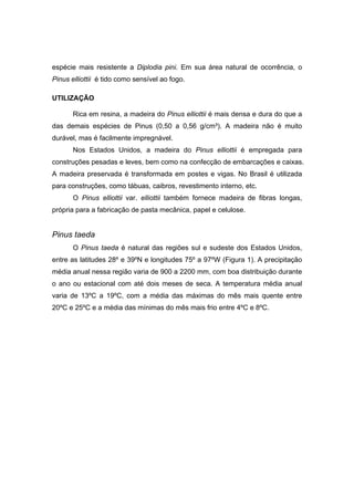 23
espécie mais resistente a Diplodia pini. Em sua área natural de ocorrência, o
Pinus elliottii é tido como sensível ao fogo.
UTILIZAÇÃO
Rica em resina, a madeira do Pinus elliottii é mais densa e dura do que a
das demais espécies de Pinus (0,50 a 0,56 g/cm³). A madeira não é muito
durável, mas é facilmente impregnável.
Nos Estados Unidos, a madeira do Pinus elliottii é empregada para
construções pesadas e leves, bem como na confecção de embarcações e caixas.
A madeira preservada é transformada em postes e vigas. No Brasil é utilizada
para construções, como tábuas, caibros, revestimento interno, etc.
O Pinus elliottii var. elliottii também fornece madeira de fibras longas,
própria para a fabricação de pasta mecânica, papel e celulose.
Pinus taeda
O Pinus taeda é natural das regiões sul e sudeste dos Estados Unidos,
entre as latitudes 28º e 39ºN e longitudes 75º a 97ºW (Figura 1). A precipitação
média anual nessa região varia de 900 a 2200 mm, com boa distribuição durante
o ano ou estacional com até dois meses de seca. A temperatura média anual
varia de 13ºC a 19ºC, com a média das máximas do mês mais quente entre
20ºC e 25ºC e a média das mínimas do mês mais frio entre 4ºC e 8ºC.
 