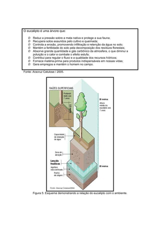 37
O eucalipto é uma árvore que:
¾ Reduz a pressão sobre a mata nativa e protege a sua fauna;
¾ Recupera solos exauridos pelo cultivo e queimada;
¾ Controla a erosão, promovendo infiltração e retenção da água no solo;
¾ Mantém a fertilidade do solo pela decomposição dos resíduos florestais;
¾ Absorve grande quantidade e gás carbônico da atmosfera, o que diminui a
poluição e o calor e combate o efeito estufa;
¾ Contribui para regular o fluxo e a qualidade dos recursos hídricos;
¾ Fornece matéria-prima para produtos indispensáveis em nossas vidas;
¾ Gera empregos e mantém o homem no campo.
Fonte: Aracruz Celulose / 2005.
Figura 5: Esquema demonstrando a relação do eucalipto com o ambiente.
 