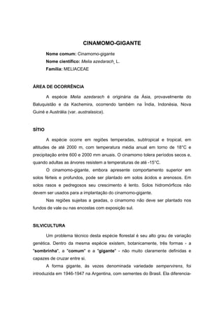 38
CINAMOMO-GIGANTE
Nome comum: Cinamomo-gigante
Nome científico: Melia azedarach L.
Família: MELIACEAE
ÁREA DE OCORRÊNCIA
A espécie Melia azedarach é originária da Ásia, provavelmente do
Baluquistão e da Kachemira, ocorrendo também na Índia, Indonésia, Nova
Guiné e Austrália (var. australasica).
SÍTIO
A espécie ocorre em regiões temperadas, subtropical e tropical, em
altitudes de até 2000 m, com temperatura média anual em torno de 18°C e
precipitação entre 600 e 2000 mm anuais. O cinamomo tolera períodos secos e,
quando adultas as árvores resistem a temperaturas de até -15°C.
O cinamomo-gigante, embora apresente comportamento superior em
solos férteis e profundos, pode ser plantado em solos ácidos e arenosos. Em
solos rasos e pedregosos seu crescimento é lento. Solos hidromórficos não
devem ser usados para a implantação do cinamomo-gigante.
Nas regiões sujeitas a geadas, o cinamomo não deve ser plantado nos
fundos de vale ou nas encostas com exposição sul.
SILVICULTURA
Um problema técnico desta espécie florestal é seu alto grau de variação
genética. Dentro da mesma espécie existem, botanicamente, três formas - a
"sombrinha", a "comum" e a "gigante" - não muito claramente definidas e
capazes de cruzar entre si.
A forma gigante, ás vezes denominada variedade sempervirens, foi
introduzida em 1946-1947 na Argentina, com sementes do Brasil. Ela diferencia-
 