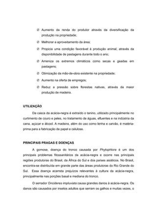 49
¾ Aumento da renda do produtor através da diversificação da
produção na propriedade;
¾ Melhorar a aproveitamento da área;
¾ Propicia uma condição favorável à produção animal, através da
disponibilidade de pastagens durante todo o ano;
¾ Ameniza os extremos climáticos como secas e geadas em
pastagens;
¾ Otimização da mão-de-obra existente na propriedade;
¾ Aumento na oferta de empregos;
¾ Reduz a pressão sobre florestas nativas, através da maior
produção de madeira.
UTILIZAÇÃO
Da casca da acácia-negra é extraído o tanino, utilizado principalmente no
curtimento de couro e peles, no tratamento de águas, efluentes e na indústria da
cana, açúcar e álcool. A madeira, além do uso como lenha e carvão, é matéria-
prima para a fabricação de papel e celulose.
PRINCIPAIS PRAGAS E DOENÇAS
A gomose, doença do tronco causada por Phytophtora é um dos
principais problemas fitossanitários da acácia-negra e ocorre nas principais
regiões produtoras do Brasil, da África do Sul e dos países asiáticos. No Brasil,
encontra-se distribuída em grande parte das áreas produtoras do Rio Grande do
Sul. Essa doença acarreta prejuízos relevantes à cultura da acácia-negra,
principalmente nas porções basal e mediana do tronco.
O serrador Oncideres impluviata causa grandes danos à acácia-negra. Os
danos são causados por insetos adultos que serram os galhos e muitas vezes, o
 