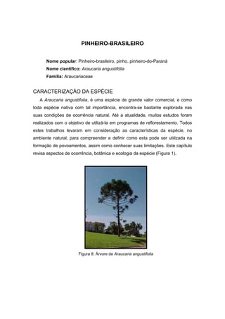 52
PINHEIRO-BRASILEIRO
Nome popular: Pinheiro-brasileiro, pinho, pinheiro-do-Paraná
Nome científico: Araucaria angustifólia
Família: Araucariaceae
CARACTERIZAÇÃO DA ESPÉCIE
A Araucaria angustifolia, é uma espécie de grande valor comercial, e como
toda espécie nativa com tal importância, encontra-se bastante explorada nas
suas condições de ocorrência natural. Até a atualidade, muitos estudos foram
realizados com o objetivo de utilizá-la em programas de reflorestamento. Todos
estes trabalhos levaram em consideração as características da espécie, no
ambiente natural, para compreender e definir como esta pode ser utilizada na
formação de povoamentos, assim como conhecer suas limitações. Este capítulo
revisa aspectos de ocorrência, botânica e ecologia da espécie (Figura 1).
Figura 8: Árvore de Araucaria angustifolia
 