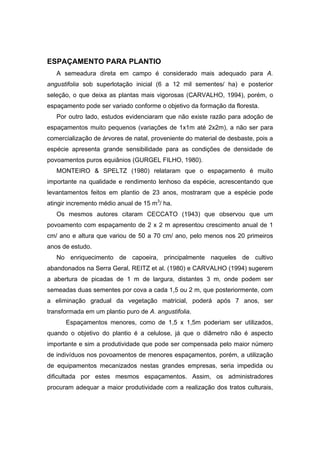 59
ESPAÇAMENTO PARA PLANTIO
A semeadura direta em campo é considerado mais adequado para A.
angustifolia sob superlotação inicial (6 a 12 mil sementes/ ha) e posterior
seleção, o que deixa as plantas mais vigorosas (CARVALHO, 1994), porém, o
espaçamento pode ser variado conforme o objetivo da formação da floresta.
Por outro lado, estudos evidenciaram que não existe razão para adoção de
espaçamentos muito pequenos (variações de 1x1m até 2x2m), a não ser para
comercialização de árvores de natal, proveniente do material de desbaste, pois a
espécie apresenta grande sensibilidade para as condições de densidade de
povoamentos puros equiânios (GURGEL FILHO, 1980).
MONTEIRO & SPELTZ (1980) relataram que o espaçamento é muito
importante na qualidade e rendimento lenhoso da espécie, acrescentando que
levantamentos feitos em plantio de 23 anos, mostraram que a espécie pode
atingir incremento médio anual de 15 m3
/ ha.
Os mesmos autores citaram CECCATO (1943) que observou que um
povoamento com espaçamento de 2 x 2 m apresentou crescimento anual de 1
cm/ ano e altura que variou de 50 a 70 cm/ ano, pelo menos nos 20 primeiros
anos de estudo.
No enriquecimento de capoeira, principalmente naqueles de cultivo
abandonados na Serra Geral, REITZ et al. (1980) e CARVALHO (1994) sugerem
a abertura de picadas de 1 m de largura, distantes 3 m, onde podem ser
semeadas duas sementes por cova a cada 1,5 ou 2 m, que posteriormente, com
a eliminação gradual da vegetação matricial, poderá após 7 anos, ser
transformada em um plantio puro de A. angustifolia.
Espaçamentos menores, como de 1,5 x 1,5m poderiam ser utilizados,
quando o objetivo do plantio é a celulose, já que o diâmetro não é aspecto
importante e sim a produtividade que pode ser compensada pelo maior número
de indivíduos nos povoamentos de menores espaçamentos, porém, a utilização
de equipamentos mecanizados nestas grandes empresas, seria impedida ou
dificultada por estes mesmos espaçamentos. Assim, os administradores
procuram adequar a maior produtividade com a realização dos tratos culturais,
 