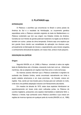 6
2. PLATANUS spp.
INTRODUÇÃO
O Platanus x acerifolia que encontra-se no Brasil e outros países da
América do Sul é o resultado da hibridização, ou cruzamento genético
espontâneo entre o Platanus orientalis originário do leste do Mediterrâneo e o
Platanus ocidentalis que tem sua origem nos Estados Unidos da América.
Constitui-se num híbrido de grande potencial madeireiro na região sul do Brasil e
também em outros países de clima temperado. Embora seja uma espécie que
tem grande futuro devido sua versatilidade de aplicação nos diversos usos,
principalmente na fabricação de móveis e, especialmente, para móveis vergados,
o conhecimento silvicultural da espécie, em nosso meio, ainda é muito pequeno.
DESCRIÇÃO DA ESPÉCIE
Origem
Segundo RAVEN, et. al. (1996) o Platanus orientalis é nativo da região
leste do Mediterrâneo até o Himalaia, crescendo muito bem com as influências
marítimas, não se adaptando em regiões mais frias como o norte da Europa.
Os mesmos autores informam que o Platanus ocidentalis é originário do
sudoeste dos Estados Unidos, sendo encontrado naturalmente em trinta e
quatro estados americanos e em duas províncias do Canadá, cresce em
regiões frias, sendo por isso levado para a Europa para ser cultivado no norte,
onde teve uma perfeita adaptação inclusive com florescimento abundante.
Em meados da década de 1670, estas duas espécies hibridizaram se
espontaneamente em locais onde eram cultivadas juntas, na Platanus de
Londres Inglaterra, produzindo uma espécie intermediária e totalmente fértil, o,
Platanus x híbrida, hoje conhecido como Platanus acerifolia e que cresce em
regiões de invernos rigoroso em qualquer parte do mundo.(RAVEN, et. al., 1996).
 
