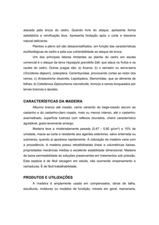64
atacada pela broca do cedro. Quando livre do ataque, apresenta forma
satisfatória e ramificação leve. Apresenta brotação após o corte e desrama
natural deficiente.
Plantios a pleno sol são desaconselhados, em função das características
ecofisiológicas do cedro e pela sua vulnerabilidade ao ataque da broca.
Um dos principais fatores limitantes ao plantio do cedro em escala
comercial é o ataque da larva Hypsipyla grandella Zell. que ataca os frutos e os
caules do cedro. Outras pragas são: a) Ácaros; b) o serrador ou serra-serra
(Oncideres dejeani), coleoptera, Cerambycidae, provocando cortes ao redor dos
ramos; c) Antaeotricha dissimilis, Lepidoptera, Stenomidae, que se alimenta de
folhas; d) Coleóbroca Diploschema rotundicolle, troncos e ramos broqueados por
larvas brancas e ápodas.
CARACTERÍSTICAS DA MADEIRA
Alburno branco até rosado, cerne variando do bege-rosado escuro ao
castanho e do castanho-claro rosado, mais ou menos intenso, até o castanho-
avermelhado, superfície lustrosa com reflexos dourados, cheiro característico
agradável, gosto levemente amargo.
Madeira leve a moderadamente pesada (0,47 - 0,60 g/cm³) a 15% de
umidade, macia ao corte e resistente aos agentes exteriores, salvo enterrada ou
submersa, quando ai apodrece rapidamente. A coloração da madeira varia com
a procedência. A madeira possui retratibilidades linear e volumétricas baixas,
propriedades mecânicas médias e excelente estabilidade dimensional. Madeira
de baixa permeabilidade às soluções preservantes em tratamentos sob pressão.
Esta espécie é de fácil secagem em estufa, não ocorrendo empenamento e
rachaduras. É de fácil trabalhabilidade.
PRODUTOS E UTILIZAÇÕES
A madeira é amplamente usada em compensados, obras de talha,
esculturas, molduras ou modelos de fundição, móveis em geral, marcenaria,
 