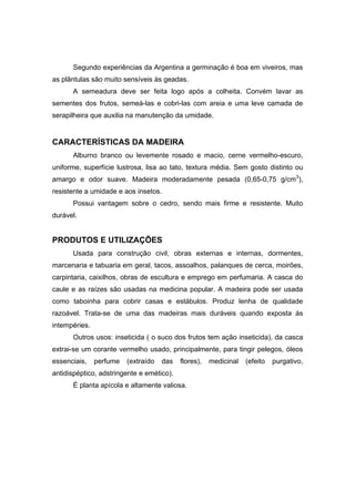 68
Segundo experiências da Argentina a germinação é boa em viveiros, mas
as plântulas são muito sensíveis às geadas.
A semeadura deve ser feita logo após a colheita. Convém lavar as
sementes dos frutos, semeá-las e cobri-las com areia e uma leve camada de
serapilheira que auxilia na manutenção da umidade.
CARACTERÍSTICAS DA MADEIRA
Alburno branco ou levemente rosado e macio, cerne vermelho-escuro,
uniforme, superfície lustrosa, lisa ao tato, textura média. Sem gosto distinto ou
amargo e odor suave. Madeira moderadamente pesada (0,65-0,75 g/cm3
),
resistente a umidade e aos insetos.
Possui vantagem sobre o cedro, sendo mais firme e resistente. Muito
durável.
PRODUTOS E UTILIZAÇÕES
Usada para construção civil, obras externas e internas, dormentes,
marcenaria e tabuaria em geral, tacos, assoalhos, palanques de cerca, moirões,
carpintaria, caixilhos, obras de escultura e emprego em perfumaria. A casca do
caule e as raízes são usadas na medicina popular. A madeira pode ser usada
como taboinha para cobrir casas e estábulos. Produz lenha de qualidade
razoável. Trata-se de uma das madeiras mais duráveis quando exposta ás
intempéries.
Outros usos: inseticida ( o suco dos frutos tem ação inseticida), da casca
extrai-se um corante vermelho usado, principalmente, para tingir pelegos, óleos
essenciais, perfume (extraído das flores), medicinal (efeito purgativo,
antidispéptico, adstringente e emético).
É planta apícola e altamente valiosa.
 