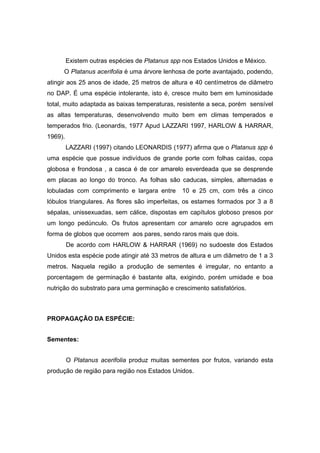 7
Existem outras espécies de Platanus spp nos Estados Unidos e México.
O Platanus acerifolia é uma árvore lenhosa de porte avantajado, podendo,
atingir aos 25 anos de idade, 25 metros de altura e 40 centímetros de diâmetro
no DAP. É uma espécie intolerante, isto é, cresce muito bem em luminosidade
total, muito adaptada as baixas temperaturas, resistente a seca, porém sensível
as altas temperaturas, desenvolvendo muito bem em climas temperados e
temperados frio. (Leonardis, 1977 Apud LAZZARI 1997, HARLOW & HARRAR,
1969).
LAZZARI (1997) citando LEONARDIS (1977) afirma que o Platanus spp é
uma espécie que possue indivíduos de grande porte com folhas caídas, copa
globosa e frondosa , a casca é de cor amarelo esverdeada que se desprende
em placas ao longo do tronco. As folhas são caducas, simples, alternadas e
lobuladas com comprimento e largara entre 10 e 25 cm, com três a cinco
lóbulos triangulares. As flores são imperfeitas, os estames formados por 3 a 8
sépalas, unissexuadas, sem cálice, dispostas em capítulos globoso presos por
um longo pedúnculo. Os frutos apresentam cor amarelo ocre agrupados em
forma de globos que ocorrem aos pares, sendo raros mais que dois.
De acordo com HARLOW & HARRAR (1969) no sudoeste dos Estados
Unidos esta espécie pode atingir até 33 metros de altura e um diâmetro de 1 a 3
metros. Naquela região a produção de sementes é irregular, no entanto a
porcentagem de germinação é bastante alta, exigindo, porém umidade e boa
nutrição do substrato para uma germinação e crescimento satisfatórios.
PROPAGAÇÃO DA ESPÉCIE:
Sementes:
O Platanus acerifolia produz muitas sementes por frutos, variando esta
produção de região para região nos Estados Unidos.
 