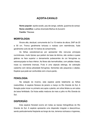 70
AÇOITA-CAVALO
Nome popular: açoita-cavalo, pau-de-canga, caibote, guaxima-do-campo
Nome científico: Luehea divaricata Martius & Zuccarini
Família: Tiliaceae
MORFOLOGIA
Árvore alta, decidual, comumente de 5 a 15 metros de altura, DAP de 20
a 50 cm. Tronco geralmente tortuoso e nodoso com reentrâncias, fuste
geralmente curto de até 10 metros de comprimento.
As folhas caracterizam-se por apresentar três nervuras principais
curvinérveas, muito típicas que partem da base da lâmina, são verdes e quase
glabras na face superior e densamente pubescentes de cor ferrugínea ou
esbranquiçada na face inferior. As flores são hermafroditas, com pétalas róseas,
roxas ou raramente brancas. Fruto é uma cápsula oblonga, de coloração
castanha com densa pilosidade ferrugínea. Sementes são pequenas e aladas.
Espécie que pode ser confundida com o louro-pardo.
FENOLOGIA
Na estação do inverno, esta espécie perde totalmente as folhas
(caducifólia). A espécie floresce de janeiro a março no Rio Grande do Sul. A
floração pode iniciar no primeiro ano após o plantio, em sítios férteis ou em solos
de baixa fertilidade. Os frutos estão maduros de maio a julho no Rio Grande do
Sul.
DISPERSÃO
Esta espécie florestal ocorre em todas as bacias hidrográficas do Rio
Grande do Sul. A espécie apresenta uma dispersão irregular e descontínua,
sendo particularmente freqüente ao longo de rios, terrenos rochosos e íngremes,
 